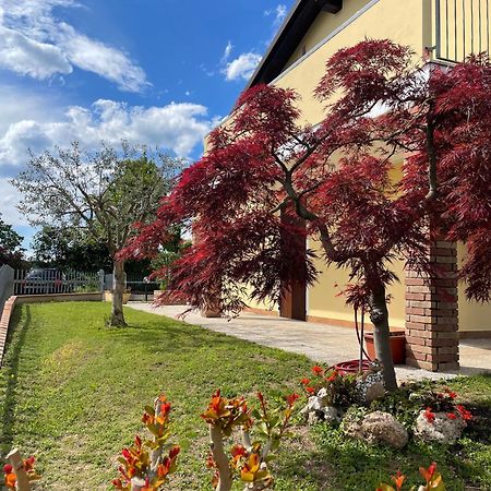 Casa Giulia Villa มอนซามบาโน ภายนอก รูปภาพ